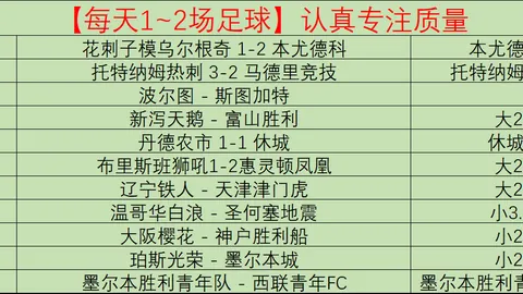 前国安球员欧战绽放光芒